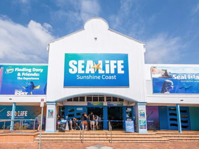 SEA Life Sunshine Coast