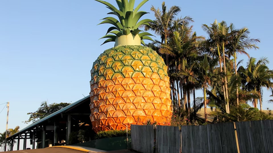 The Big Pineapple